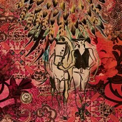 Fantazia Apparel Collection Wrap: 3/4 Sleeve Jacket Western Feathers