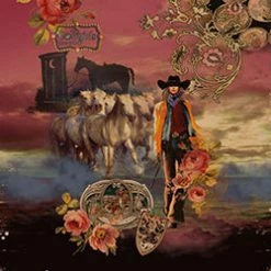 Fantazia Apparel Collection Tops: 3/4 Sleeve Tunic Silver Cowgirl