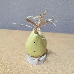 Edith Herbert John Folk Art Navajo Hand Carved Small Nesting Chickens