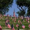 CMQ Photography: "Memorial Day" Decor
