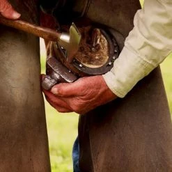 Decor CMQ Photography: "In Good Hands"