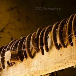 CMQ Photography: "Well Worn Shoes" Decor