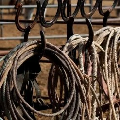 CMQ Photography: "At The Ready" Decor