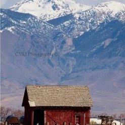 CMQ Photography: "Salt Shed"