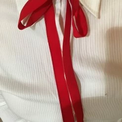 Cowboy Images Wild Rags Ladies' Cowboy Images Accessory: Western Necktie 1/2 Inch Wide